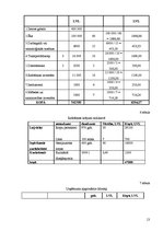 Referāts 'Uzņēmuma stratēģiskais attīstības plāns', 13.