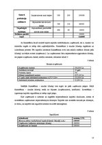 Referāts 'Uzņēmuma stratēģiskais attīstības plāns', 14.