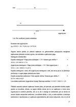 Referāts 'Uzņēmuma stratēģiskais attīstības plāns', 17.