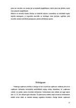 Referāts 'Uzņēmuma stratēģiskais attīstības plāns', 18.