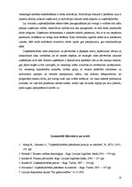 Referāts 'Uzņēmuma stratēģiskais attīstības plāns', 19.