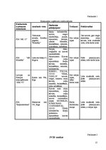 Referāts 'Uzņēmuma stratēģiskais attīstības plāns', 21.