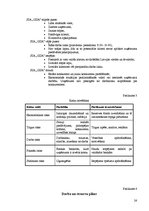 Referāts 'Uzņēmuma stratēģiskais attīstības plāns', 22.