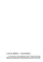 Referāts 'Lego', 8.