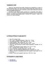 Referāts 'Lego', 20.