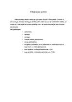 Referāts 'Viesnīcas "Ķepas" finanšu pārraudzība', 4.