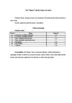 Referāts 'Viesnīcas "Ķepas" finanšu pārraudzība', 5.