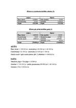 Referāts 'Viesnīcas "Ķepas" finanšu pārraudzība', 9.