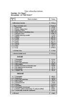 Referāts 'Viesnīcas "Ķepas" finanšu pārraudzība', 11.