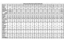 Referāts 'Viesnīcas "Ķepas" finanšu pārraudzība', 13.