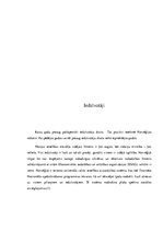 Konspekts 'Norvēģijas fiskālā un monetārā politika', 4.