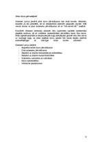 Referāts 'Transporta uzņēmumu pakalpojumu kompleksa paplašināšanas virzieni', 10.