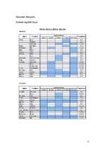 Referāts 'Transporta uzņēmumu pakalpojumu kompleksa paplašināšanas virzieni', 11.