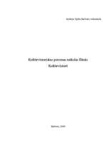 Referāts 'Kultūrvēsturiskas personas mākslas filmās', 1.