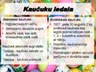 Prezentācija 'Plastmasa, kaučuks un gumija', 8.