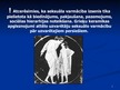 Prezentācija 'Pedofīlijas aktualitātes', 7.