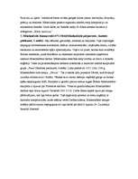 Referāts 'Itālijas renesanses laikmeta galvenie mākslinieki un mākslas virzieni', 11.