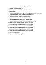 Referāts 'Investīciju struktūras dinamika Latvijā', 24.