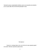 Referāts 'Nāves tēls literatūrā un mākslā attīstītajos un vēlajos viduslaikos', 13.