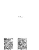 Referāts 'Nāves tēls literatūrā un mākslā attīstītajos un vēlajos viduslaikos', 17.