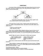 Konspekts 'Loģiskās iemaņas ', 1.