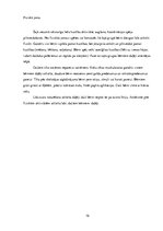 Prakses atskaite 'Aktīvā mācību un audzināšanas prakse pirmsskolā', 16.