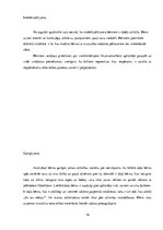 Prakses atskaite 'Aktīvā mācību un audzināšanas prakse pirmsskolā', 19.