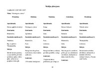 Prakses atskaite 'Aktīvā mācību un audzināšanas prakse pirmsskolā', 22.