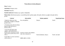 Prakses atskaite 'Aktīvā mācību un audzināšanas prakse pirmsskolā', 28.