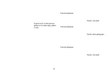 Prakses atskaite 'Aktīvā mācību un audzināšanas prakse pirmsskolā', 30.