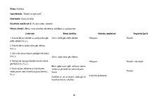 Prakses atskaite 'Aktīvā mācību un audzināšanas prakse pirmsskolā', 39.