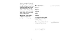 Prakses atskaite 'Aktīvā mācību un audzināšanas prakse pirmsskolā', 44.