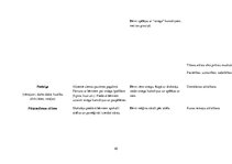 Prakses atskaite 'Aktīvā mācību un audzināšanas prakse pirmsskolā', 45.