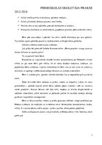 Prakses atskaite 'Pirmsskolas skolotāja prakse', 7.