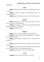 Prakses atskaite 'Pirmsskolas skolotāja prakse', 24.