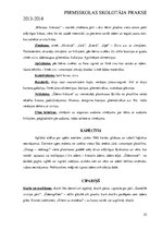 Prakses atskaite 'Pirmsskolas skolotāja prakse', 25.