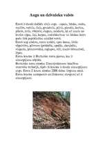 Konspekts 'Projekta darbs par Burtnieku ezeru', 3.