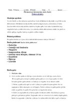 Paraugs 'Pētnieciskais laboratorijas darbs fizikā Elektrodzinējs', 1.