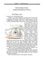 Referāts 'Budisms - apskaidroto ceļš', 7.