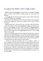 Eseja 'Recenzija par Raita Jaunkera izstādi "Ceļojuma piezīmes"', 1.