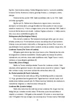 Referāts 'Anglija kā tūrisma galamērķis Latvijas tūristiem un viesstrādniekiem', 15.