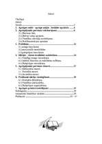 Referāts 'Veca cilvēka aprūpes plāns', 1.