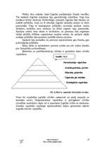 Referāts 'Veca cilvēka aprūpes plāns', 9.