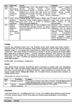 Konspekts 'Starptautiskās politikas galvenās iezīmes 19.gadsimta beigās un 20.gadsimta sāku', 2.