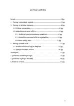 Referāts 'Cilvēks, kas veic pīrsingu un pīrsings, kas veido cilvēku', 2.