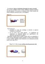 Referāts 'Stomas pacientu viedokļu analīze', 6.