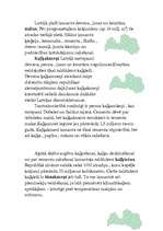 Referāts 'Derīgie izrakteņi Latvijā', 4.