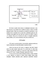 Referāts 'Darbības stratēģija viesmīlības nozares konkurences apstākļos Latvijā', 6.