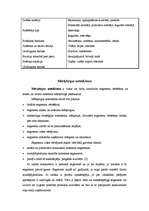 Referāts 'Darbības stratēģija viesmīlības nozares konkurences apstākļos Latvijā', 13.