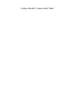 Eseja 'Kristijans Pētertāle Vladimira Kaijaka romānā "Bailes"', 3.